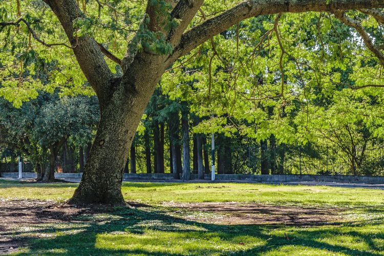 Parks in Skokie IL Perfect for Outdoor Parties